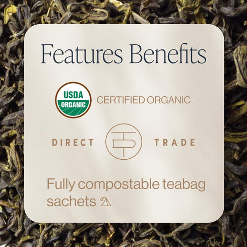 15 Count (Pack 1) Rishi Tea Jasmine Green Tea - Organic Sachet Tea Bags, Caffeinated Scented Chinese Green Tea