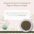 4 oz Starwest Botanicals Organic Peppermint Leaf Powder - Dried Herb for Tea, Herbal Blends, Baking, & Cooking
