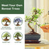 LUOJIBIE Bonsai Tree Kit, Complete Bonzai Tree Starter Kits, for Mom, Unique Christmas Birthday Gardening Gifts