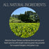 50 Count Rishi Tea Matcha Super Green Japanese Tea - Organic, Caffeinated Sachet Bags, Umami, Antioxidant Rich Sencha