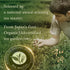 Visit the Store 100% (1.06oz, Kazuto Premium Ceremonial Grade Matcha Green Tea Powder - Premium First Harvest Single