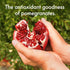 100% 16 oz (Pack 6) POM Wonderful Antioxidant Superpower Pomegranate Blueberry Juice fl
