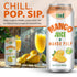 100% (16.57 oz, Pack 12), Vinut Mango Juice with Pulp fl of No Sugar Added, All Nature Mango Juice, Not From