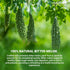 120 100% Pack 3 LeafLea Bitter Melon Tea Bags, Pure Bitter Melon Fruit. Supports Wellness and Digestion |
