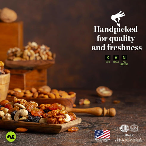 Filberts (48oz 3 LB) Packed NUT CRAVINGS - Raw Hazelnuts with Skin - Unsalted, Shelled, - Bulk Nuts Fresh in Resealable