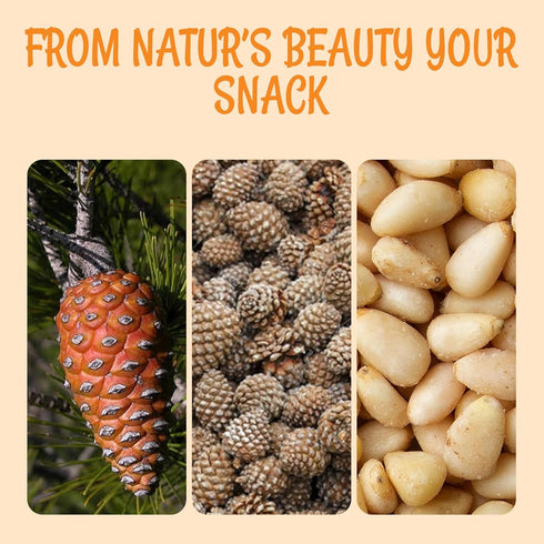 100% 1 lb Packed Oh! Nuts Pine Nuts (Pignolias) - Raw - Natural Pine Nuts - Bulk Bag - Premium Pignoli with Protein