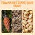 100% 1 lb Packed Oh! Nuts Pine Nuts (Pignolias) - Raw - Natural Pine Nuts - Bulk Bag - Premium Pignoli with Protein