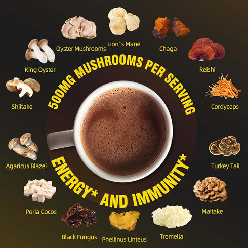 14 Immune 8.5 Oz Mushroom Hot Chocolate | Mushroom Blend with Adaptogens, Alpha GPC, Ginkgo Biloba & L-Theanine |
