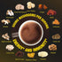 14 Immune 8.5 Oz Mushroom Hot Chocolate | Mushroom Blend with Adaptogens, Alpha GPC, Ginkgo Biloba & L-Theanine |