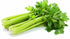 RawJoy Organic Fresh Green Celery by Farms