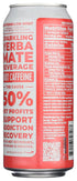16 Clean Cause Organic Sparkling Watermelon Mint Yerba Mate, FZ
