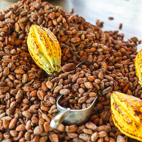 Shifaa Brown:10-12% 16oz Cocoa Powder Unsweetened, Alkalized - Reddish | Rich in Antioxidants, High Fibre & Protein |