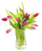 KaBloom - Life and Love Pink & Red Tulips Fresh - Fresh