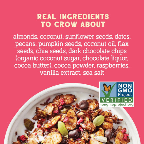 20 Oz 4g 5g Seven Sundays Nut Granola Cereal, Day Dream Dark Chocolate Raspberry, Bag, Grain & Gluten Free, Protein
