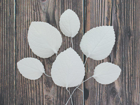 15 Count Global Sugar Art Hydrangea Leaves Sugar Cake Flowers White Mix of Large Medium and Small, by Chef Alan