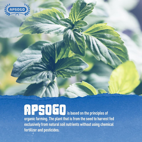3.52 oz Apsogo Organic Greek Spearmint - Dried Spearmint Leaves for Spearmint Tea Loose Leaf, Herbal Tea & Cooking