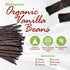11 Madagascar Organic Vanilla Beans Grade A, Certified USDA Organic ~6" by FITNCLEAN VANILLA for Cooking and Baking