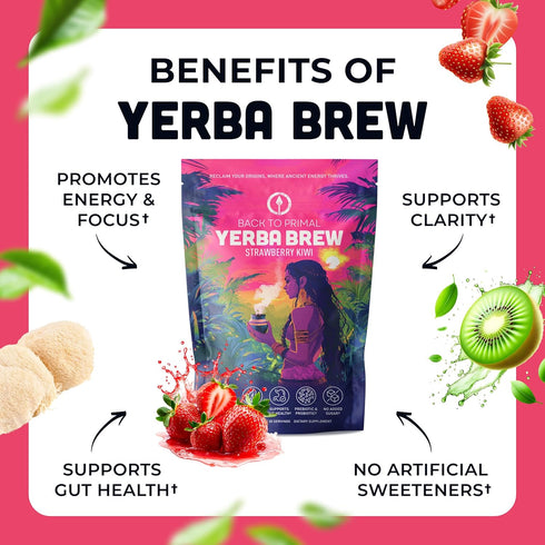 30 Yerba Mate Instant Tea Powder Zero Sugar Drink with Nootropics, Prebiotics & Probiotics for Clean Energy & Focus
