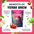 30 Yerba Mate Instant Tea Powder Zero Sugar Drink with Nootropics, Prebiotics & Probiotics for Clean Energy & Focus