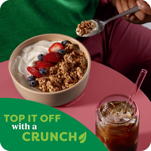 10g 10g 17.4oz (1 Kashi GO Protein Cereal, Protein, Fiber, Cinnamon Crunch, Box Box)