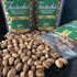 8oz (Pack 2) Tastachios Wood Fire Roasted Pistachios - Original Flavor - Gluten-Free, Plant-Based Protein, Non-GMO