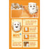 48g 20 oz Kelloggs Frosted Mini-Wheats Breakfast Cereal, High Fiber, Whole Grain, Large Size