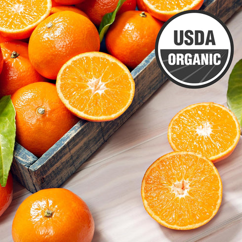 12 oz (6 Galvanina Clementine Premium Organic Italian Sparkling Soda, fl Glass Bottles) | Made with Organic