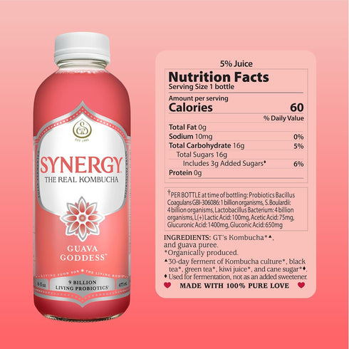 16 oz Immune SYNERGY The Real Kombucha - Guava Goddess - fl Bottle - Raw Probiotic Drink for Gut Health and Support