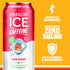 Vitamins,16 oz (Pack 12) Sparkling Ice Caffeine Strawberry Citrus Sparkling Water with Caffeine, Zero Sugar