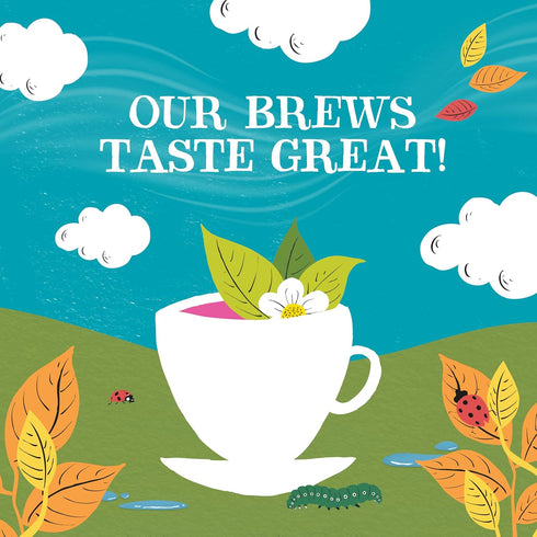 Set, 5 45 Clipper Tea: Organic Herbal & Green Tea Gift Box Tea Selection & Sampler with Flavors Including Lemon