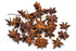 Slofoodgroup Whole Star Anise, 2 Ounces for Cooking, Pickling and Spice Mixes