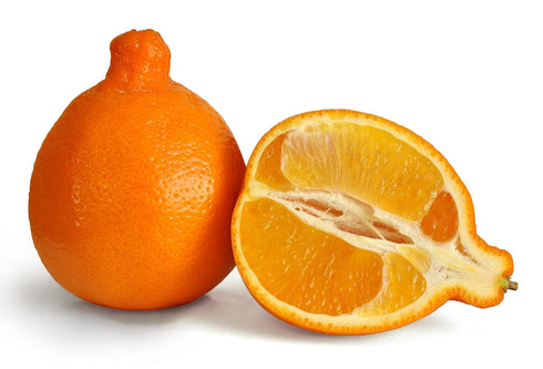 MENNEOLA TANGELOS At The Neighborhood Corner Store TANGELOS MINNEOLA ORANGES CALIFORNIA GROWN FRESH FRUIT PRODUCE PER POUND