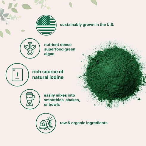 2lbs Organic Kelp Powder, | Sustainably US Grown, Raw Ascophyllum Nodosum Source | Rich in Iodine for Thyroid Support