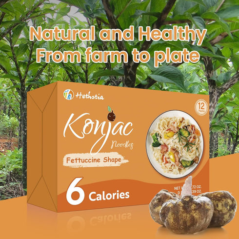 Hethstia Konjac Noodle Soup Cups & Shirataki Fettuccine Bundle Low Calorie Low Carb Konjac Noodles for Instant Meals