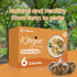 Hethstia Konjac Noodle Soup Cups & Shirataki Fettuccine Bundle Low Calorie Low Carb Konjac Noodles for Instant Meals