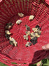 Generic 6+ 6 Fertile Quail Hatching Eggs Button Quail Hatching Eggs Mixed Varieties Farm Fresh & High Hatch Rate LSJ