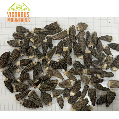 VIGOROUS MOUNTAINS Dried Morel Mushrooms - 1 Ounce