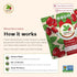 50 Pack Nature's Wild Berry Miracle Berries Flavor-Changing Berry Halves | Resealable Refill | Freeze-Dried in USA |