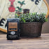12oz 100% Chocolate Peanut Butter Cup Decaf Coffee by Coffee Beanery | Flavored Decaf Coffee Ground Medium Roast Coffee