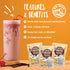 2.9 oz Packets (Pack 12) Big Train Vanilla Bean Blended Creme Beverage Mix
