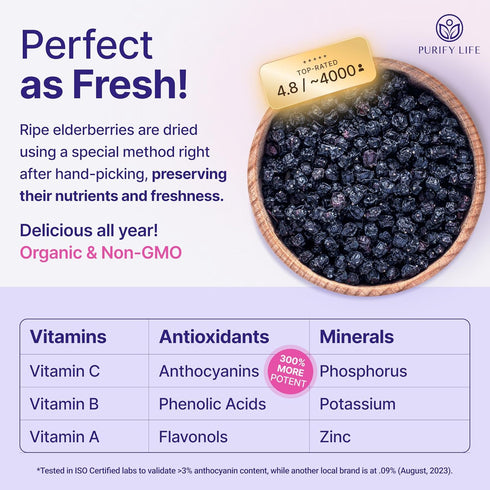 100% 1lb Immune Gummies, 1 Certified USDA - Organic Dried Elderberries - Bulk - Non-Irradiated, Non-Gmo, Whole Black