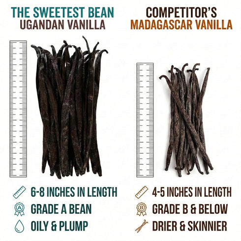 The Sweetest Bean Pack 10 Grade A Ugandan Vanilla Beans Plump, Moist, Oily & Fresh Perfect for Baking, Extracts