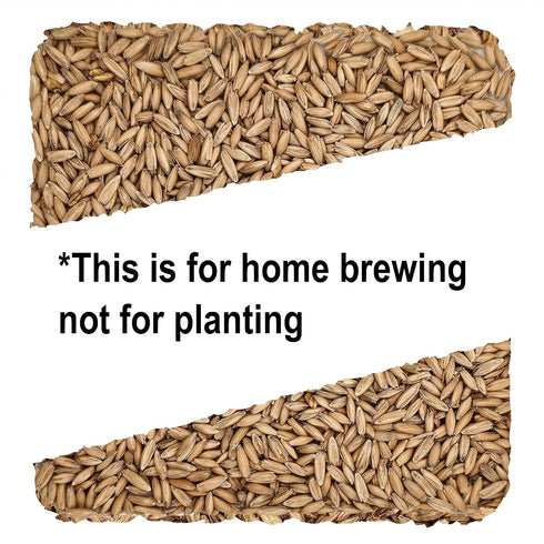 10lb Home Brew Ohio Malted Oats Grain