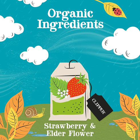 Clipper Tea Strawberry & Elderflower Herbal Tea, Caffeine Free, USDA Organic, 20 Tea Bags