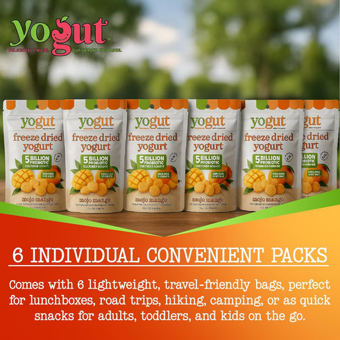 6 Pack, 5 Packs YoGut Freeze Dried Yogurt Snack, Mango, Healthy Snacks for Kids, Toddlers & Adults, Gluten Free, Non