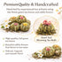 24 Set Blooming Tea & Edible Flower Infusions, Green Tea, Unique Flavors Gift for Everyone Natural, Floral & Aromatic