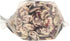 ZURSUN 20 , Beans Christmas Lima, Ounce