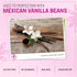16.9 oz Flor Maya Vanilla Extract Premium Aged Blend Made with Mexican Vanilla Beans | Gourmet Vanilla Bean Extract