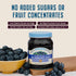 10oz Nature's Hollow Blueberry Jam: Sugar Free Jam and Preserves, Low Cal, Non GMO, Keto Jam, Vegan, Gluten Free