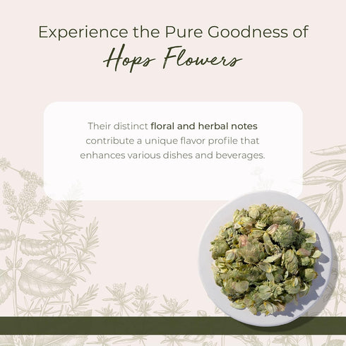 4 oz Starwest Botanicals Dried Hops Flowers Whole - Herb for Hot Water & Tea, Use in Herbal Blends, Natural Pine